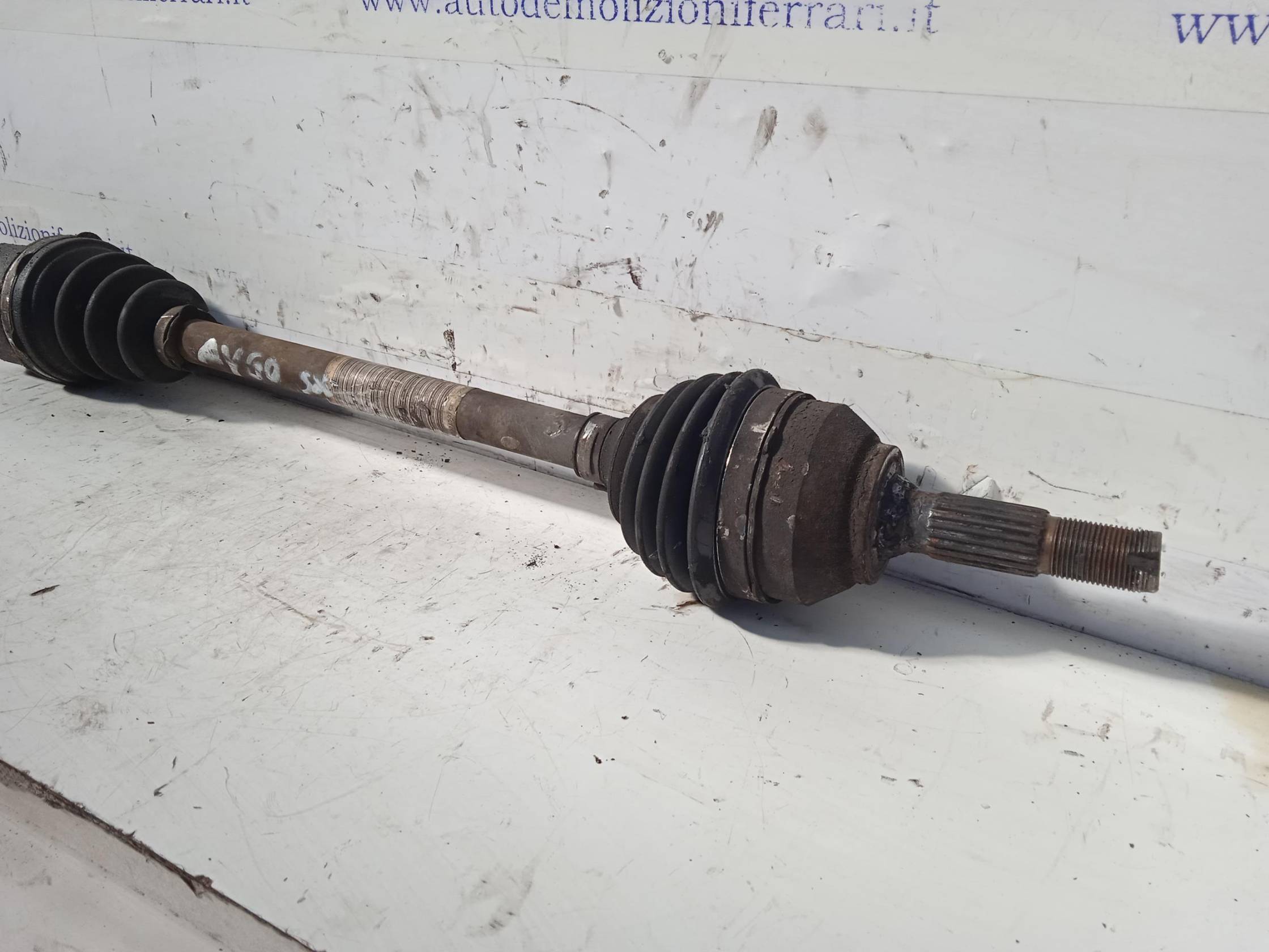 Semialbero ant. compl. sx.